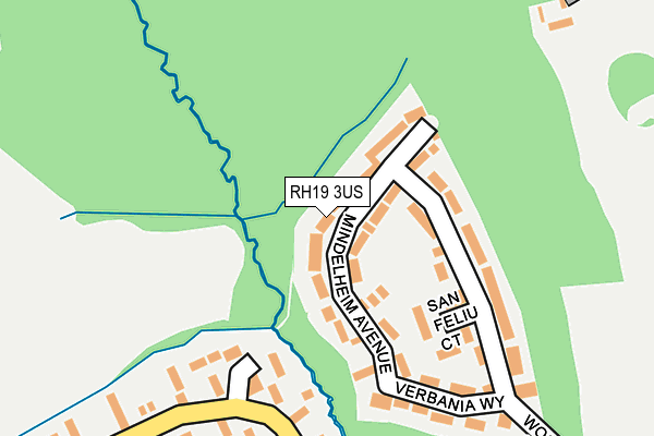 RH19 3US map - OS OpenMap – Local (Ordnance Survey)