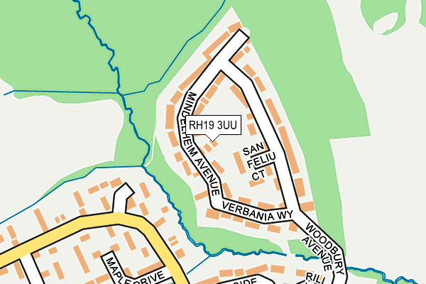 RH19 3UU map - OS OpenMap – Local (Ordnance Survey)