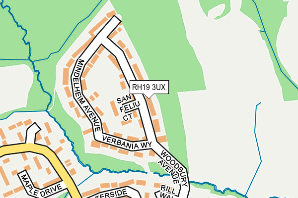 RH19 3UX map - OS OpenMap – Local (Ordnance Survey)