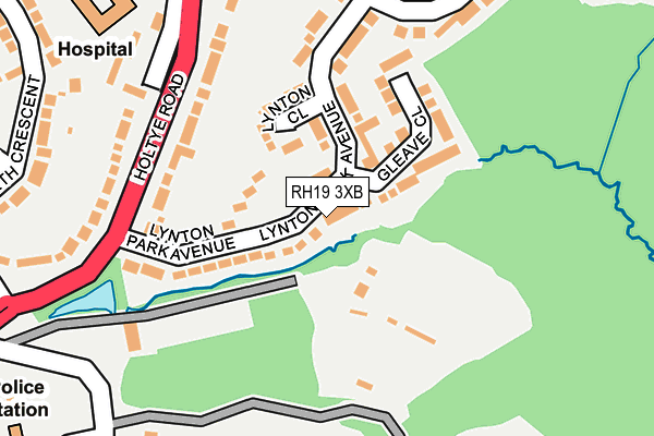 RH19 3XB map - OS OpenMap – Local (Ordnance Survey)