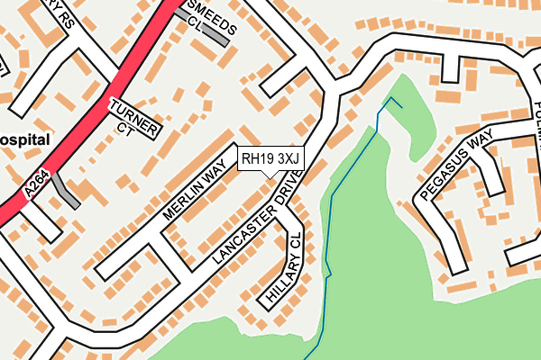 RH19 3XJ map - OS OpenMap – Local (Ordnance Survey)