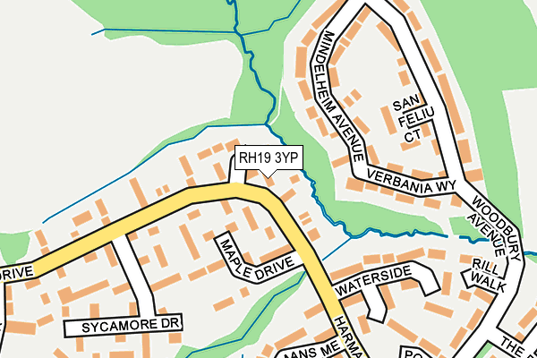 RH19 3YP map - OS OpenMap – Local (Ordnance Survey)