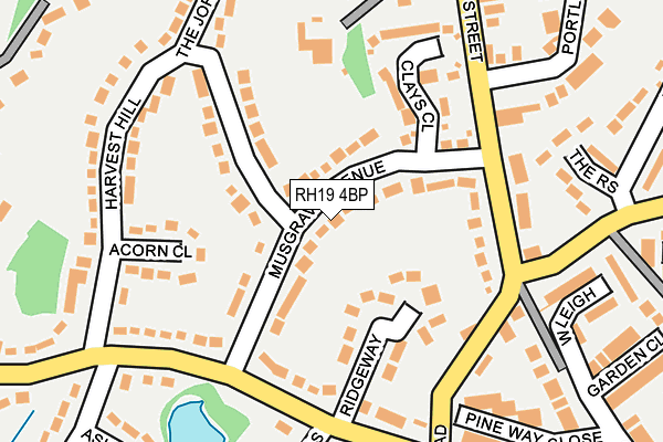 RH19 4BP map - OS OpenMap – Local (Ordnance Survey)