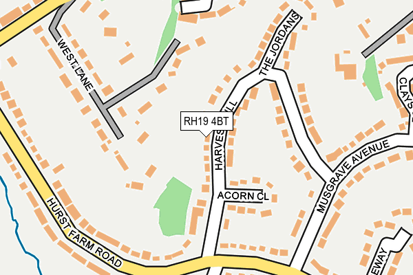 RH19 4BT map - OS OpenMap – Local (Ordnance Survey)