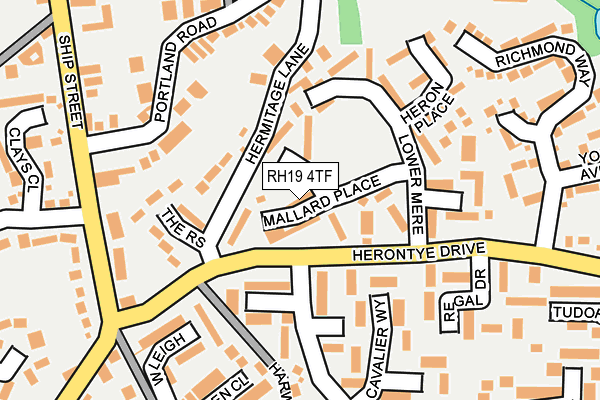 RH19 4TF map - OS OpenMap – Local (Ordnance Survey)