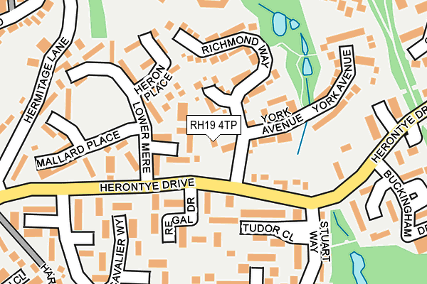 RH19 4TP map - OS OpenMap – Local (Ordnance Survey)