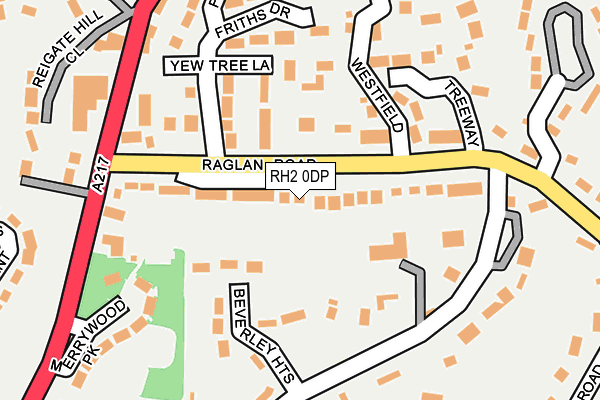 RH2 0DP map - OS OpenMap – Local (Ordnance Survey)