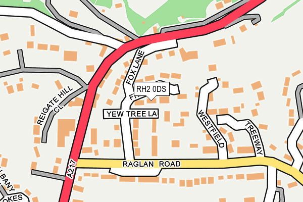 RH2 0DS map - OS OpenMap – Local (Ordnance Survey)
