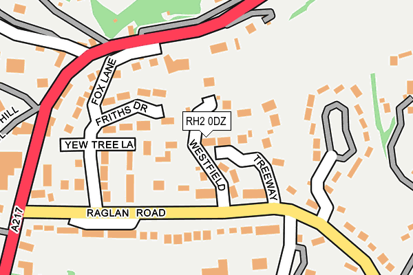 RH2 0DZ map - OS OpenMap – Local (Ordnance Survey)