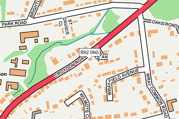 RH2 0NG map - OS OpenMap – Local (Ordnance Survey)