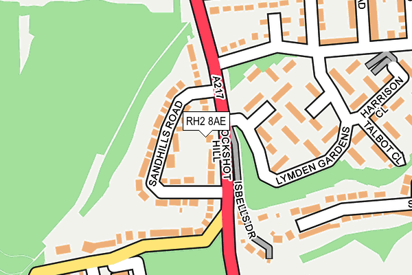 RH2 8AE map - OS OpenMap – Local (Ordnance Survey)