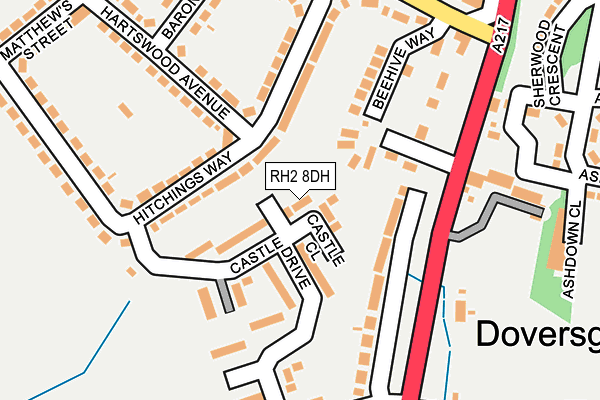 RH2 8DH map - OS OpenMap – Local (Ordnance Survey)