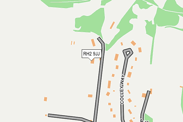 RH2 9JJ map - OS OpenMap – Local (Ordnance Survey)