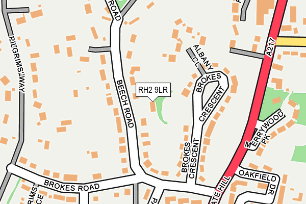RH2 9LR map - OS OpenMap – Local (Ordnance Survey)
