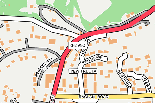 RH2 9NQ map - OS OpenMap – Local (Ordnance Survey)