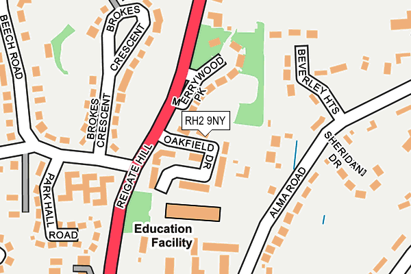 RH2 9NY map - OS OpenMap – Local (Ordnance Survey)