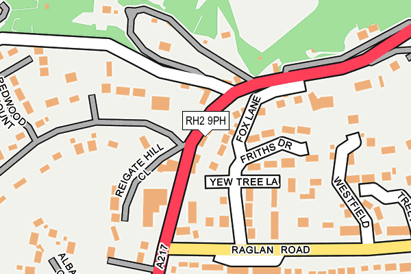 RH2 9PH map - OS OpenMap – Local (Ordnance Survey)