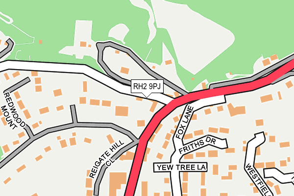 RH2 9PJ map - OS OpenMap – Local (Ordnance Survey)