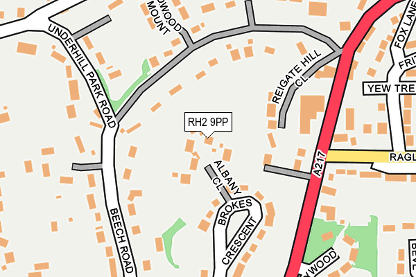 RH2 9PP map - OS OpenMap – Local (Ordnance Survey)