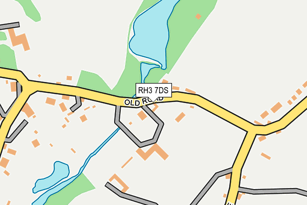 RH3 7DS map - OS OpenMap – Local (Ordnance Survey)