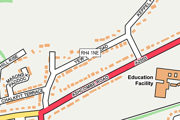 RH4 1NE map - OS OpenMap – Local (Ordnance Survey)