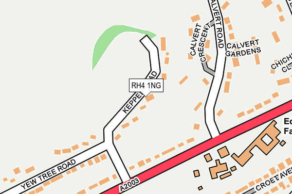 RH4 1NG map - OS OpenMap – Local (Ordnance Survey)