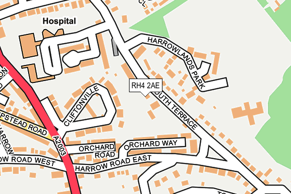RH4 2AE map - OS OpenMap – Local (Ordnance Survey)