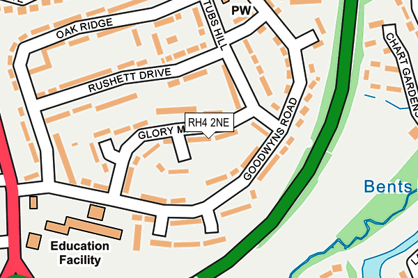 RH4 2NE map - OS OpenMap – Local (Ordnance Survey)