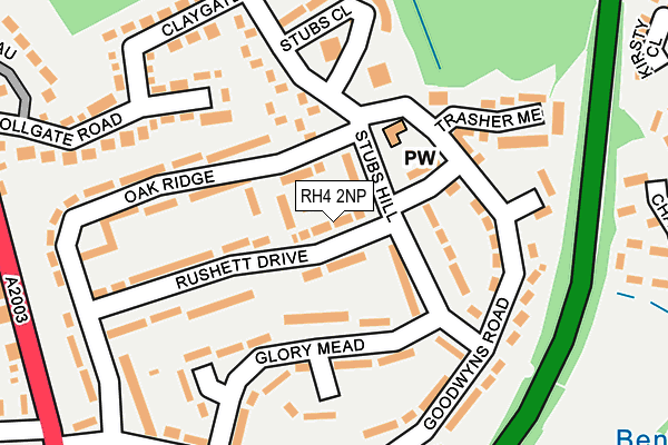 RH4 2NP map - OS OpenMap – Local (Ordnance Survey)