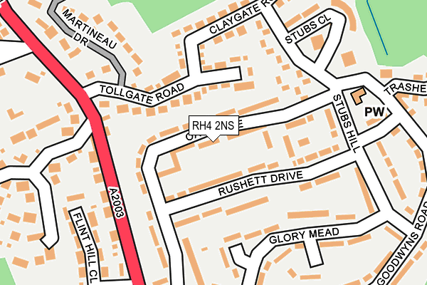 RH4 2NS map - OS OpenMap – Local (Ordnance Survey)