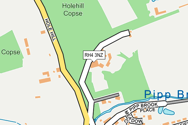 RH4 3NZ map - OS OpenMap – Local (Ordnance Survey)