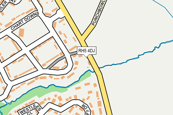 RH5 4DJ map - OS OpenMap – Local (Ordnance Survey)