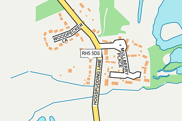 RH5 5DS map - OS OpenMap – Local (Ordnance Survey)