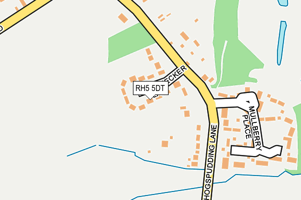 RH5 5DT map - OS OpenMap – Local (Ordnance Survey)