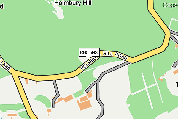 RH5 6NS map - OS OpenMap – Local (Ordnance Survey)