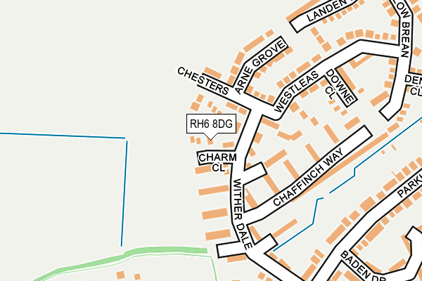 RH6 8DG map - OS OpenMap – Local (Ordnance Survey)