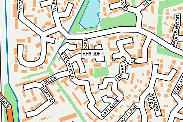 RH6 9DF map - OS OpenMap – Local (Ordnance Survey)