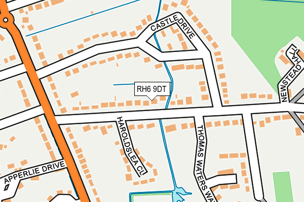 RH6 9DT map - OS OpenMap – Local (Ordnance Survey)