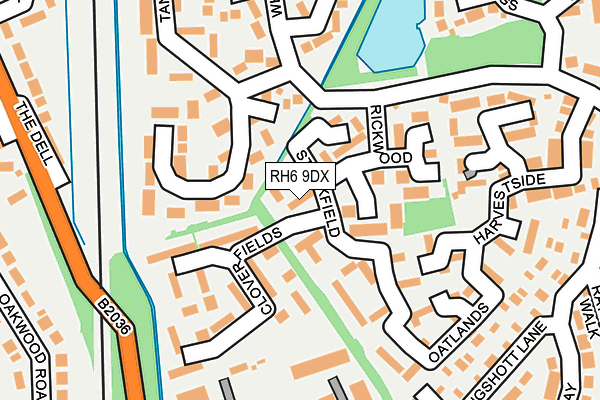 RH6 9DX map - OS OpenMap – Local (Ordnance Survey)