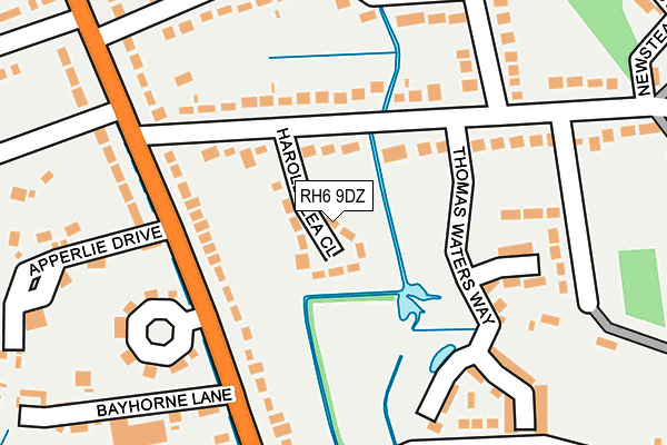 RH6 9DZ map - OS OpenMap – Local (Ordnance Survey)