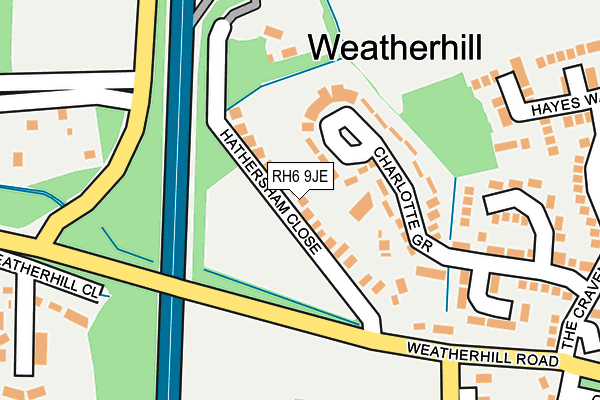 RH6 9JE map - OS OpenMap – Local (Ordnance Survey)