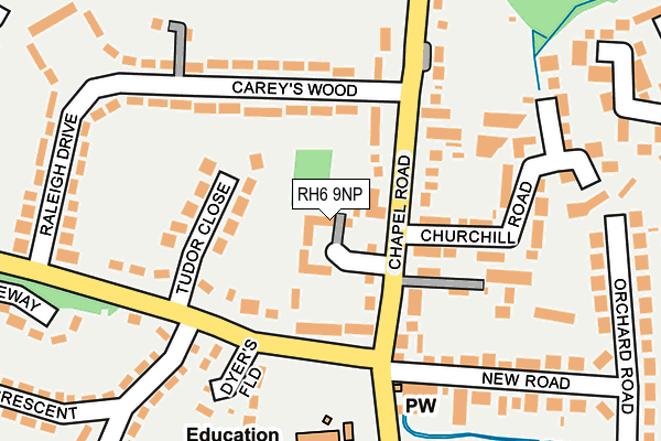 RH6 9NP map - OS OpenMap – Local (Ordnance Survey)