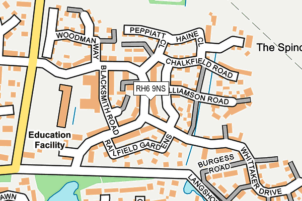 RH6 9NS map - OS OpenMap – Local (Ordnance Survey)