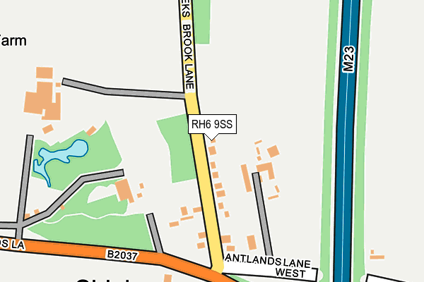 RH6 9SS map - OS OpenMap – Local (Ordnance Survey)