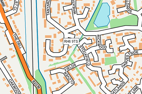 RH6 9TS map - OS OpenMap – Local (Ordnance Survey)