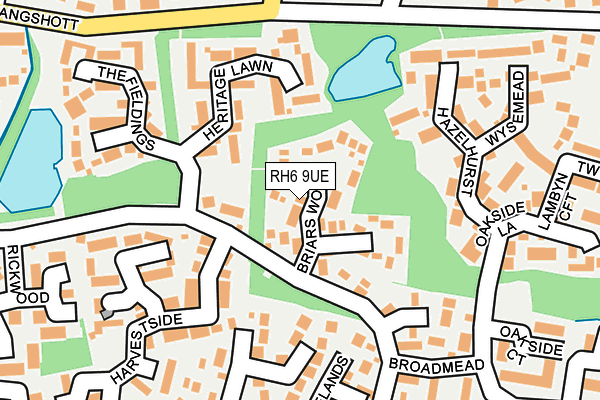 RH6 9UE map - OS OpenMap – Local (Ordnance Survey)