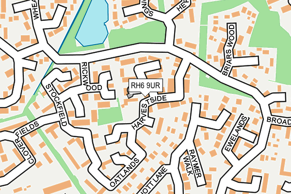 RH6 9UR map - OS OpenMap – Local (Ordnance Survey)