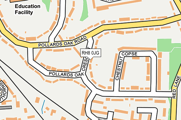 RH8 0JG map - OS OpenMap – Local (Ordnance Survey)