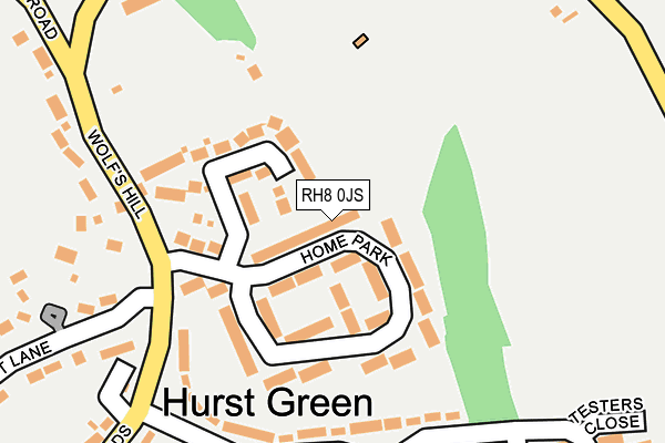 RH8 0JS map - OS OpenMap – Local (Ordnance Survey)