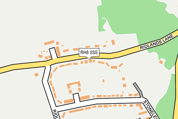 RH8 0SS map - OS OpenMap – Local (Ordnance Survey)